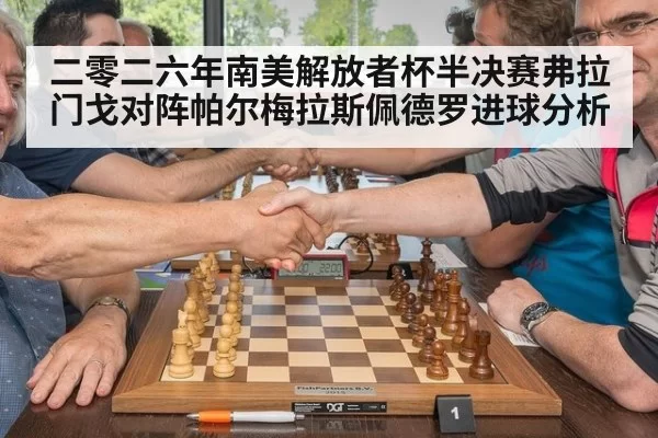 二零二六年南美解放者杯半决赛弗拉门戈对阵帕尔梅拉斯佩德罗进球分析